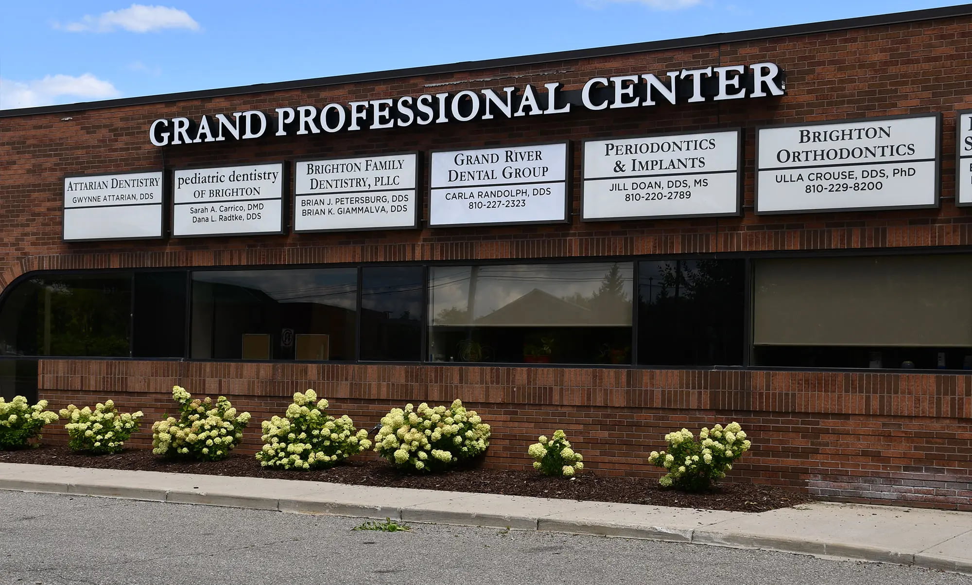 The building of Brighton Orthodontics dental office